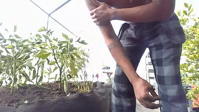 caliboi4 webcam