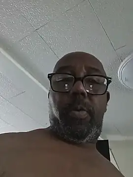 Randyable webcam