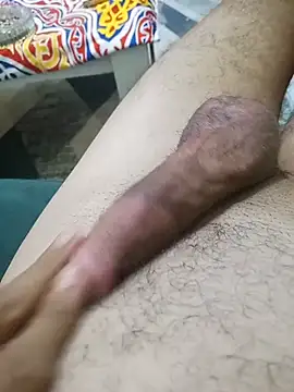 EgyptianHorse live cam on StripChat