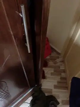houSZMM live cam on StripChat