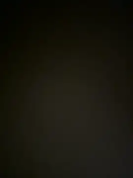 Junglii_Billi