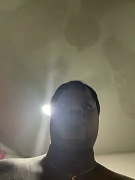 SharikBrowns