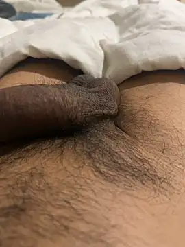 Junglii_Billi