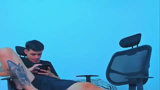 Thomas-Wil webcam