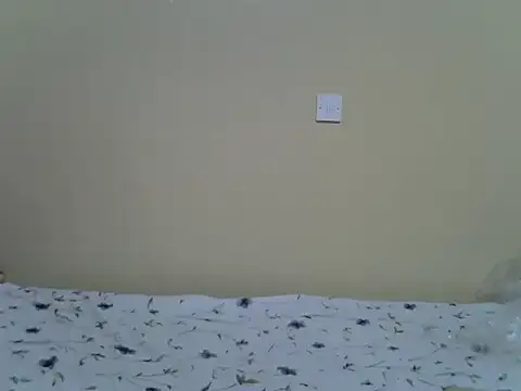 Eebony1