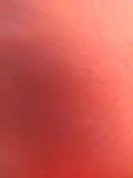 _MissPompitas23_
