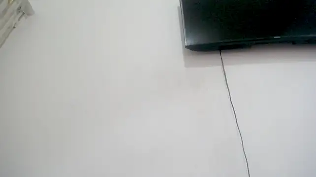 Fox_Loves