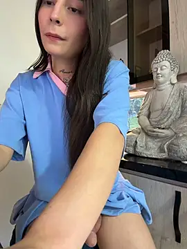 Modelo: Camistar18