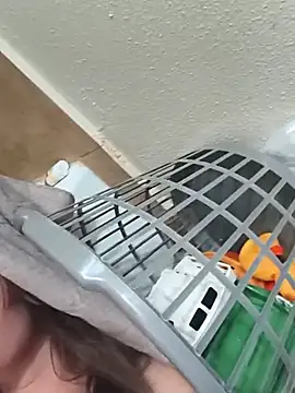 katmeowyouluv