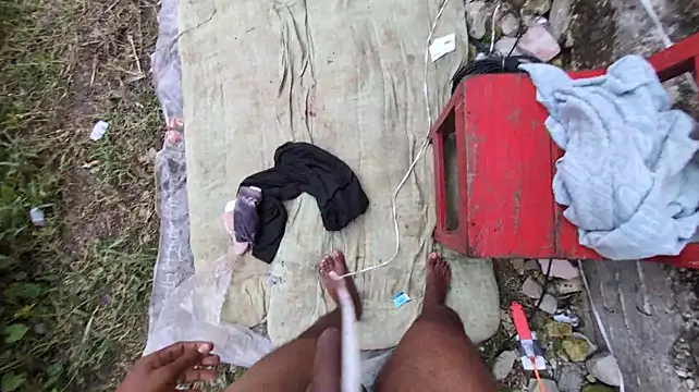 NaturePOV webcam