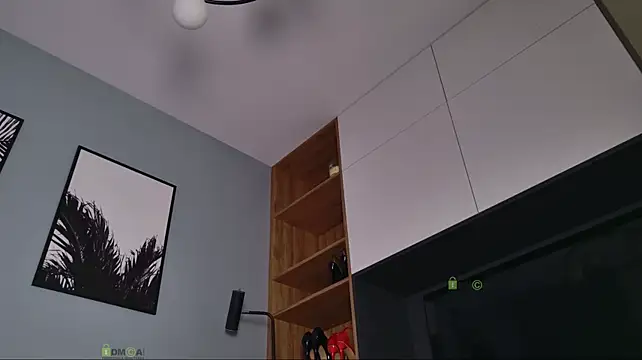 JULIRECE webcam