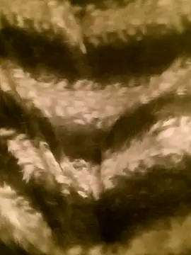 Jeunebrune66 webcam