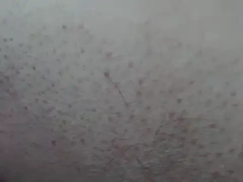 Cheliafun