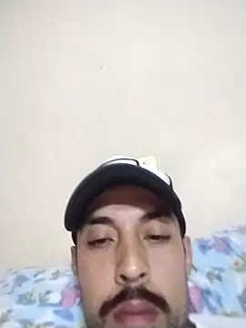 Gato33311