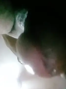 LeakyCloser