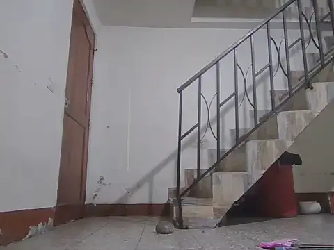 latin_feets