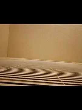 Trapx77301 webcam