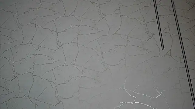 AvaDesire_ webcam