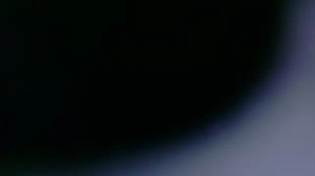 lilmeeow live sex cam