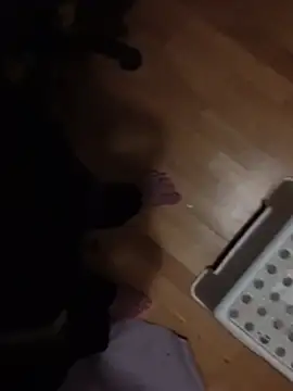 GroundedOregano690