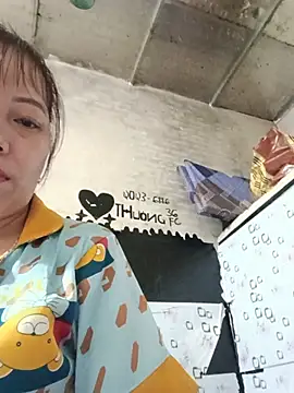 Sana-vn webcam