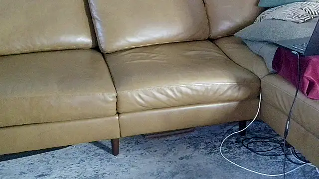 DressSock_Shoe webcam