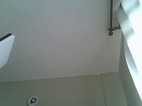 Aurora_starrr