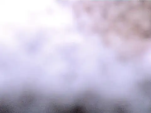 na_bee