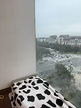 Saomm001 webcam