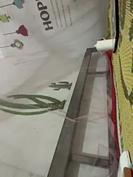 zinsetka (F young) - Uoc gap butt$💐