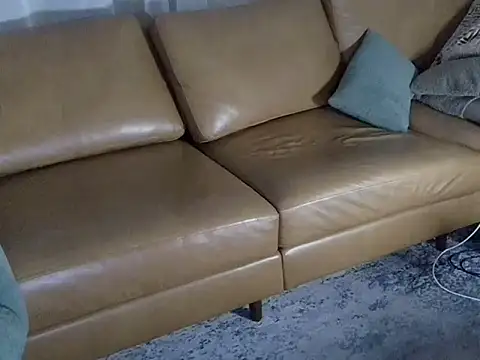 DressSock_Shoe