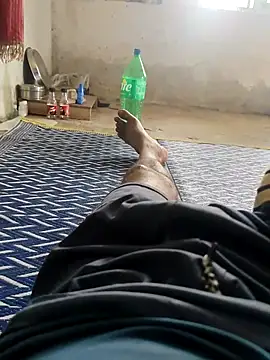 Bengali_BULL1 webcam