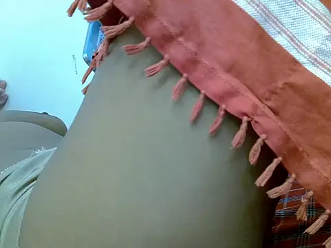 Swt_vixen webcam