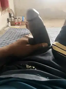 bengali_bull1 (M young) - Do anything for king because I need 300