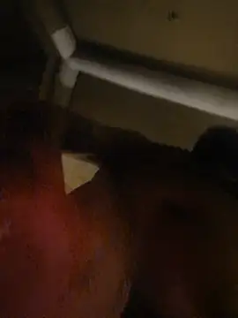 The1_andonly on Stripchat
