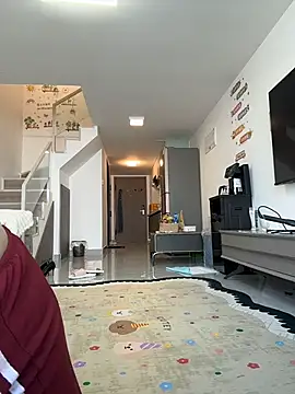 xianyu-ss webcam