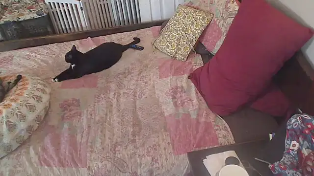 Ireallysquirt