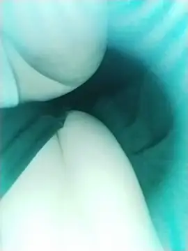 lamasrica20 webcam