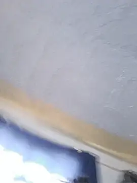 kittydonar webcam Stripchat model stream image