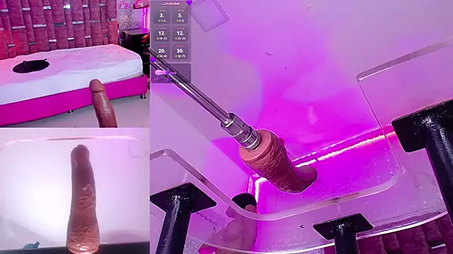 DollyMae_