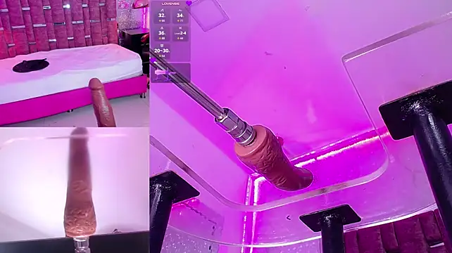 DollyMae_