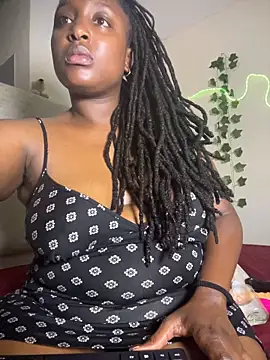 Sollybunny webcam
