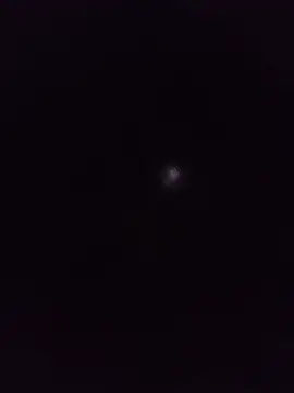 milto77 live sex cam
