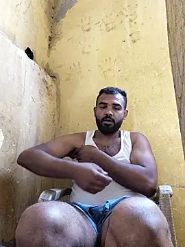 Lion_meis