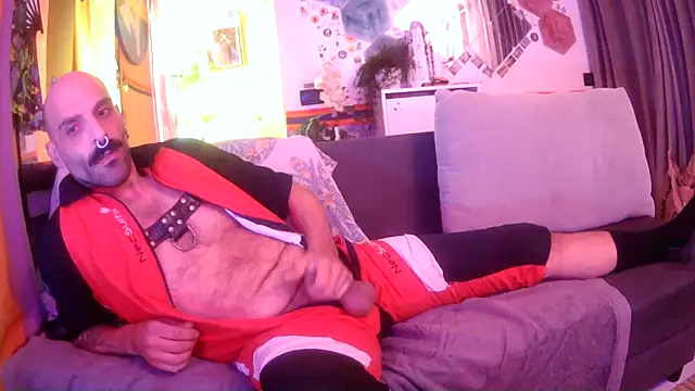 danix_wild_wolf