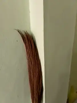 Komal_Bhabhi4u