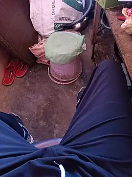 Himachali_bull_27 webcam