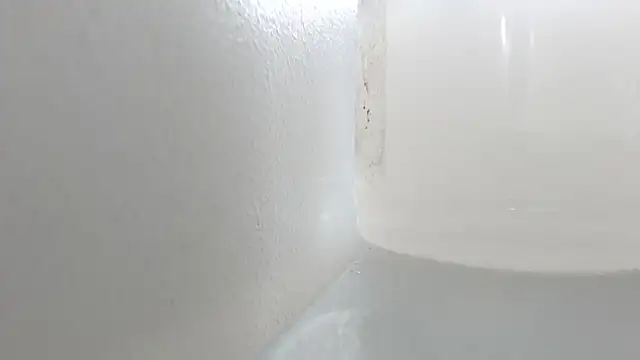 Kitty_Mifl live sex cam