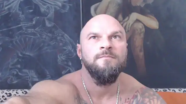 viking_30 webcam
