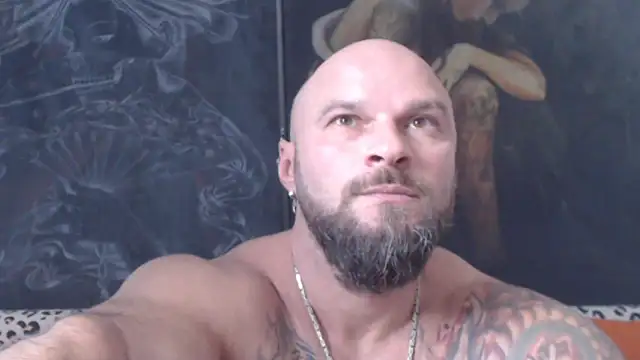 viking_30